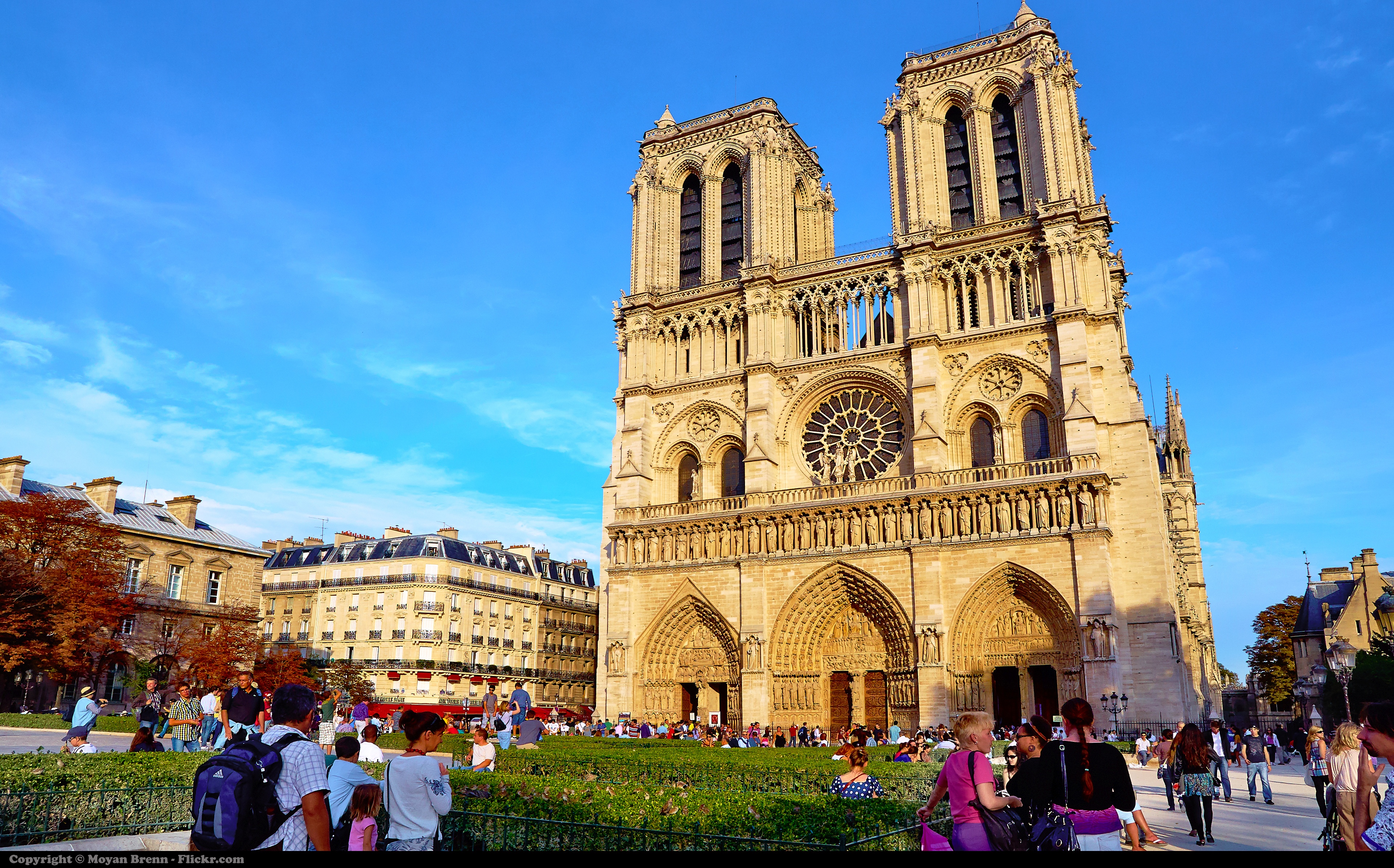 Notre dame de paris сюжет